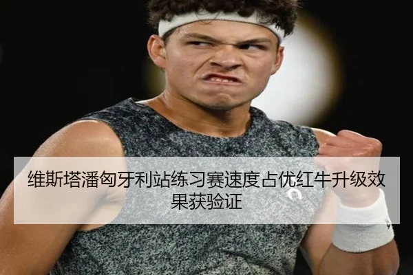 维斯塔潘匈牙利站练习赛速度占优红牛升级效果获验证